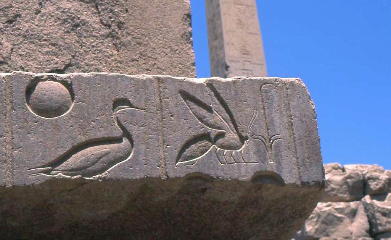 242-Karnak,13 agosto 2007.jpg